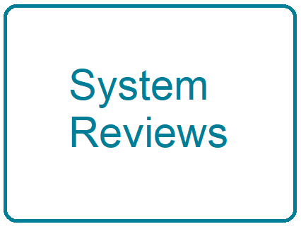 System Reviews, like health check, data cleaning, data archiving, system upgrades